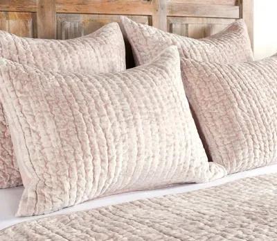 Villa by Classic Home Bari Velvet Pillow Sham - Nude - Standard