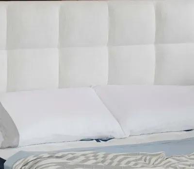 City Mattress Carmen Upholstered Bed - Ivory - Queen