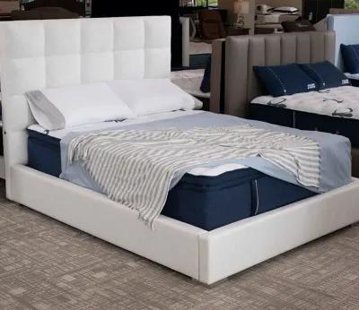 City Mattress Carmen Upholstered Bed - Dove - Queen