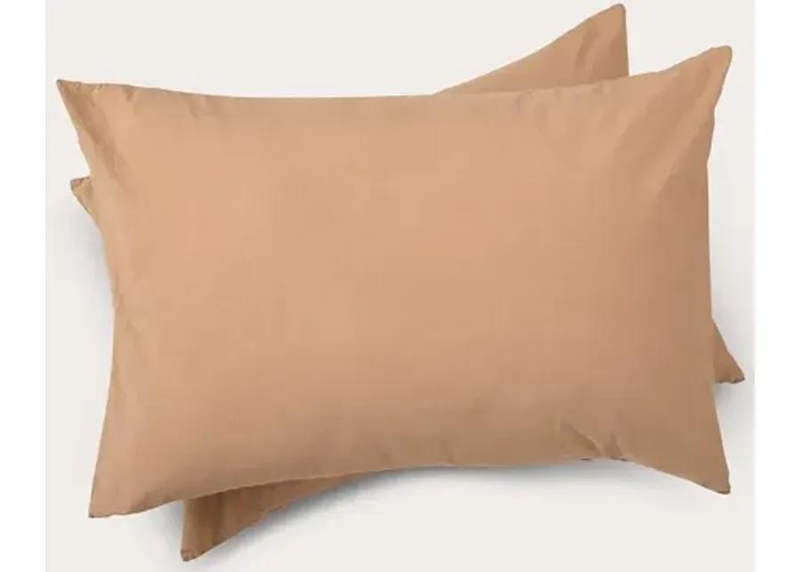 Dr. Weil by PureCare Dr. Weil Garment Washed Percale Pillow Shams - Ochre - Queen