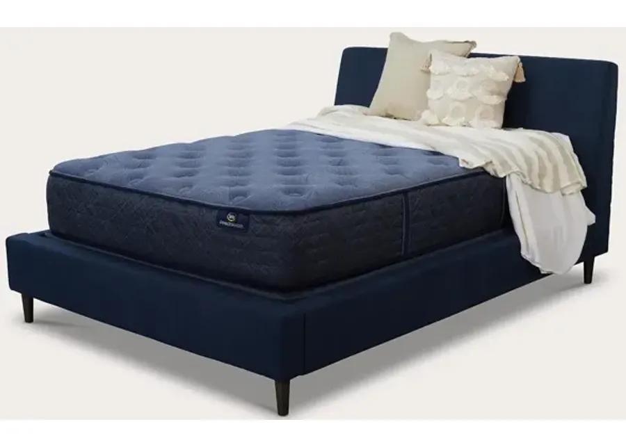 Serta Perfect Sleeper Delray Plush Innerspring Mattress - Memory Foam - Twin XL