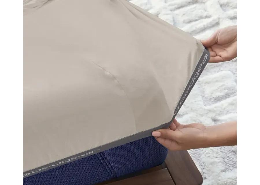 Bedgear Hyper-Wool Sheet Set - Medium Beige - Split King/Cal King