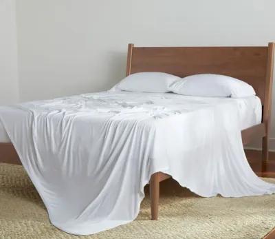 Bedgear Dri-Tec Sheet Set and Pillowcase Set - White - Twin/Twin XL