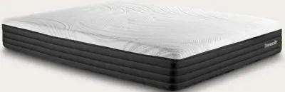 Bed in a Box Thomasville Franklin 10.5'' Foam Medium Plush Hybrid Mattress - Queen