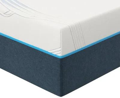 Bed in a Box Nautica Reflect 12'' Medium Firm Memory Foam Mattress - Queen