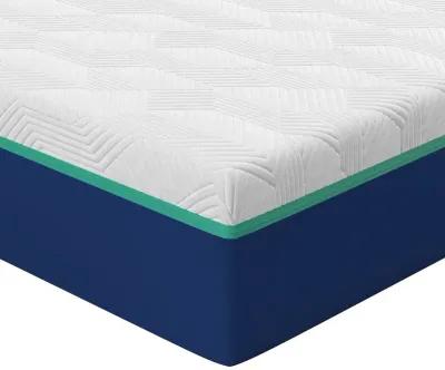 Bed in a Box Nautica Enthuse 10'' Medium Firm Hybrid Mattress - Full