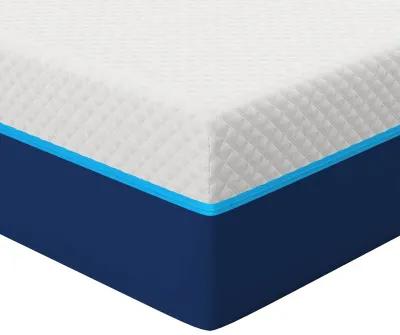 Bed in a Box Nautica Energize 12'' Medium Firm Hybrid Mattress - Twin XL