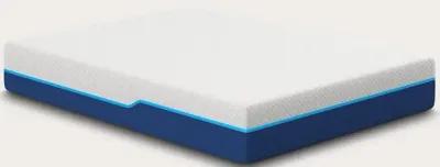 Bed in a Box Nautica Energize 12'' Medium Firm Hybrid Mattress - Full