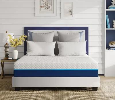 Bed in a Box Nautica Energize 12'' Medium Firm Hybrid Mattress - Full