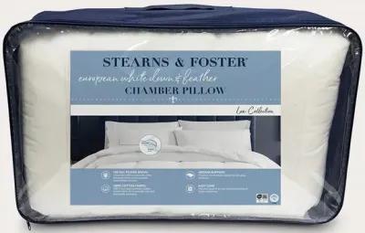 Stearns & Foster Pyrenees Down and Feather Chamber Pillow - Standard/Queen