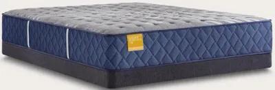 Sealy Bridgerton Firm Innerspring Mattress - Twin