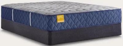 Sealy Bridgerton Firm Innerspring Mattress - Twin