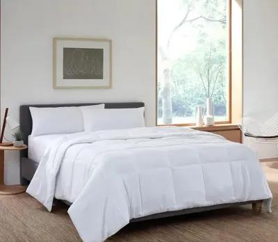 Sleeptone Goto Down Alternative Comforter - Twin