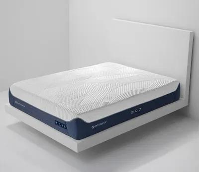 Bedgear M3 Performance® Mattress - Split Head California King