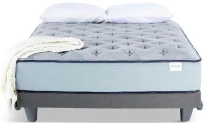 Invigorate Plush Twin Mattress