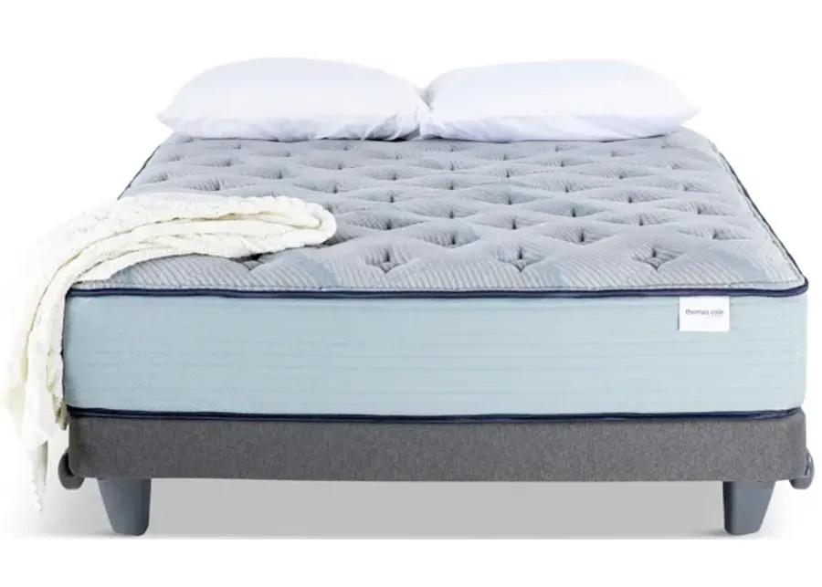 Invigorate Plush Queen Mattress