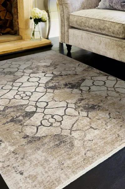 Westerly 5 3  x 7 7  Area Rug