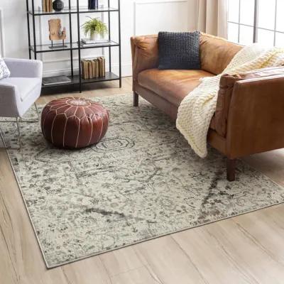 Cleopatra Ashburn Cream Area Rug - 5 3  X 8 0 