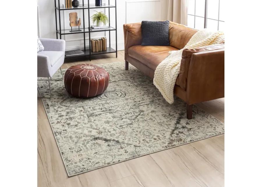 Cleopatra Ashburn Cream Area Rug - 7 10  X 10 0