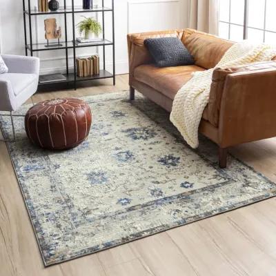 Cleopatra Evesham Grey Dark Blue Area Rug - 7 10  X 10 0 