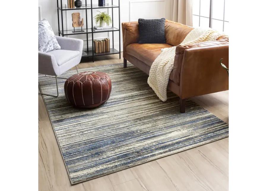 Cleopatra Bell Place Grey Dark Blue Area Rug - 7 10  X 10 0 