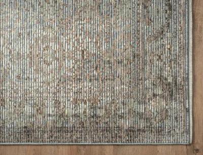 Riviera 5 0  x 8 0  Area Rug