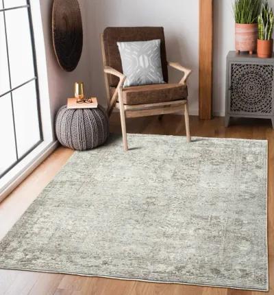 Riviera 8 0  x 10 0  Area Rug