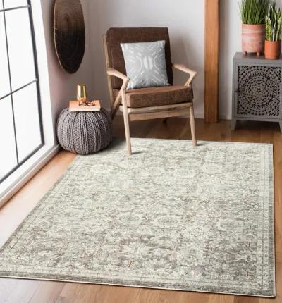 Riviera 5 0  x 8 0  Area Rug