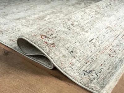 Riviera 5 0  x 8 0  Area Rug