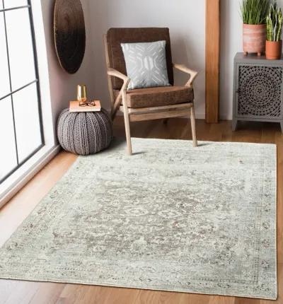 Riviera 5 0  x 8 0  Area Rug