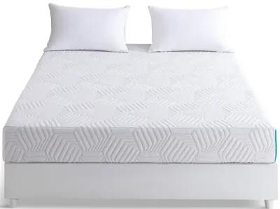 6  Memory Foam Twin Mattress