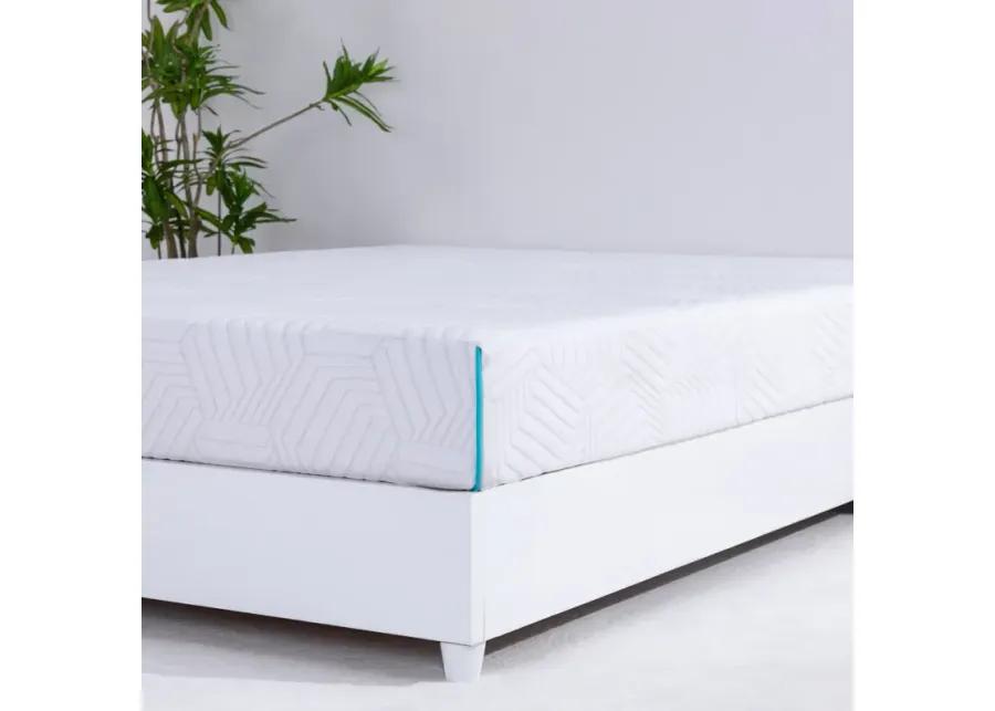 8  Essential Plus Queen Mattress