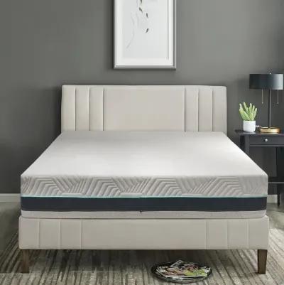 12  Essential Plus Queen Mattress