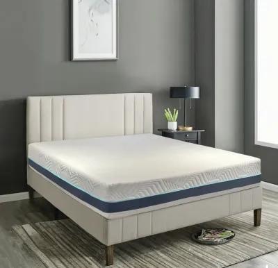 12  Essential Plus Queen Mattress