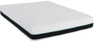 12  Essential Plus Queen Mattress