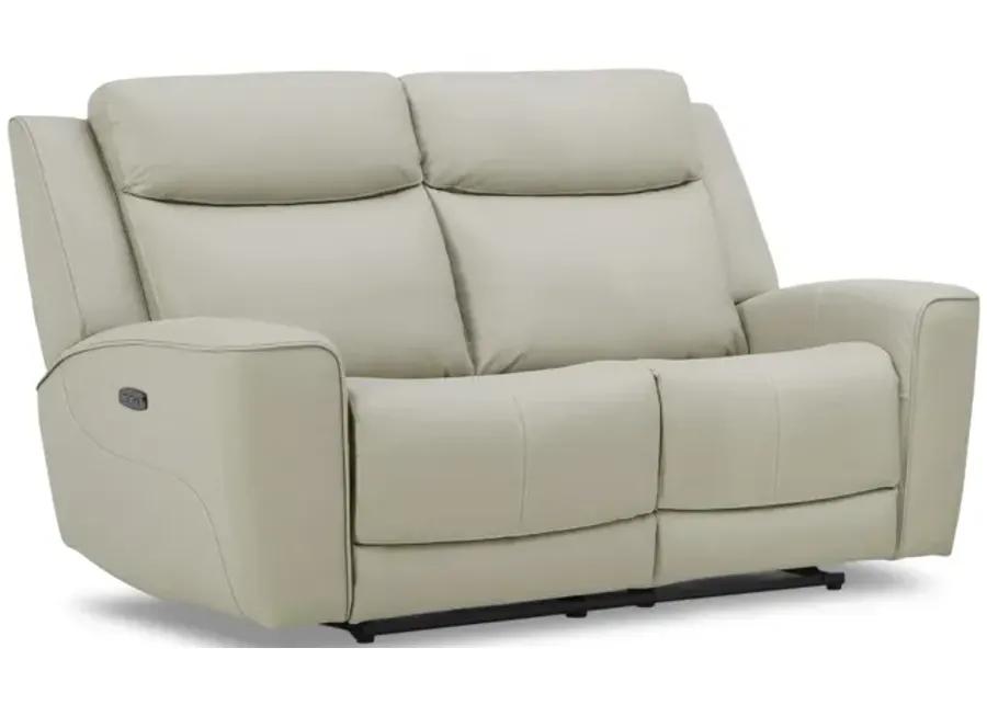 Fenton Leather Power Reclining Loveseat