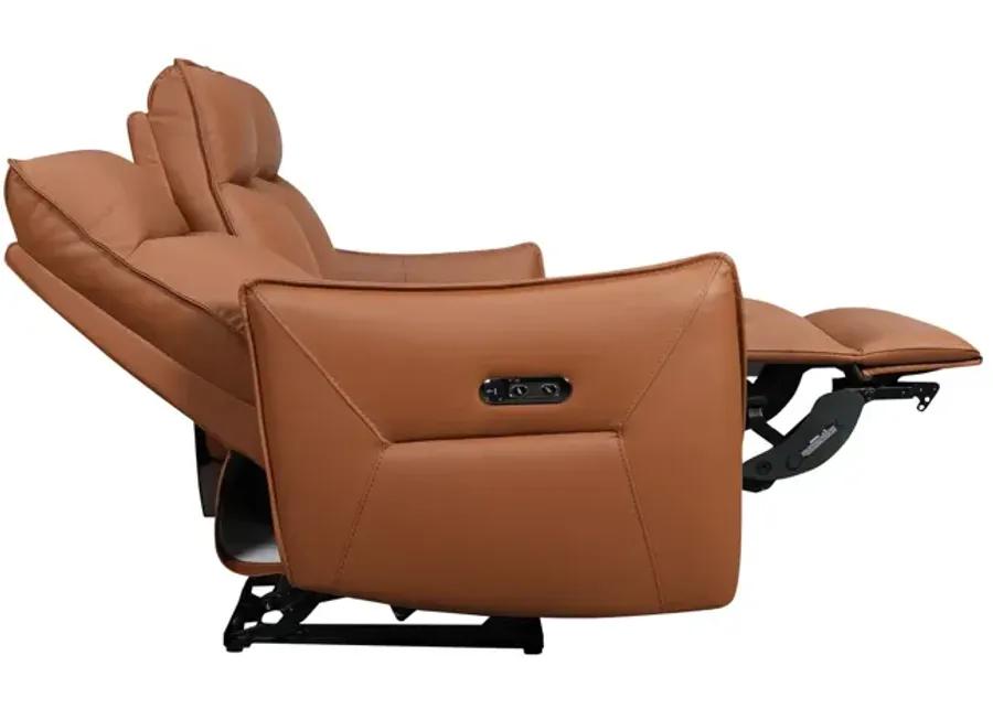 Vanessa Leather Power Reclining Sofa