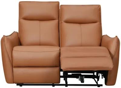 Vanessa Leather Power Reclining Loveseat