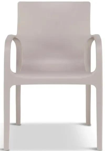 Allisa Chair - Grey