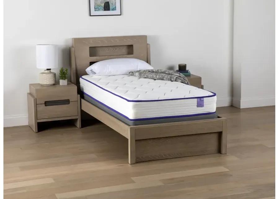 Ava Twin XL Mattress