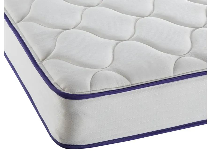 Ava Twin XL Mattress