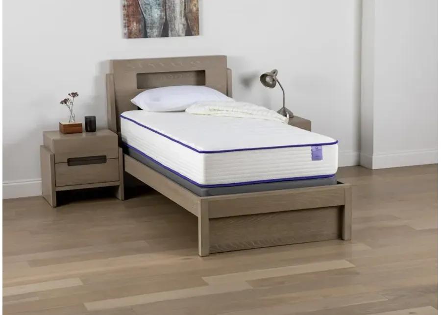 Bella Twin XL Mattress