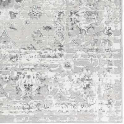 Rhodes 5 1  x 7 5  Silver Area Rug