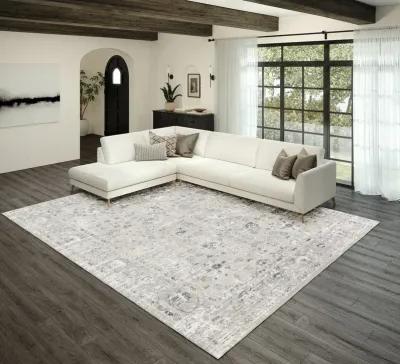 Rhodes 5 1  x 7 5  Silver Area Rug