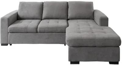 Louden 2 Piece Sleeper Sectional With Chaise - Left Arm Facing Sofa