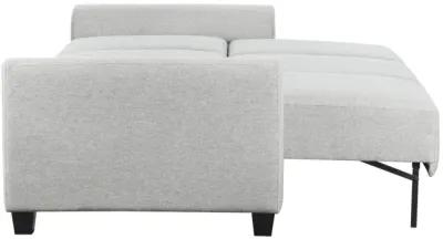 Rockwell Convertible Sofa Sleeper - Dove