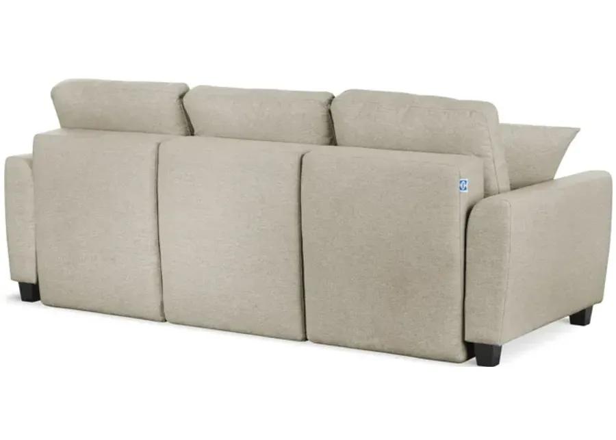 Rockwell Convertible Sofa Sleeper - Tumbleweed