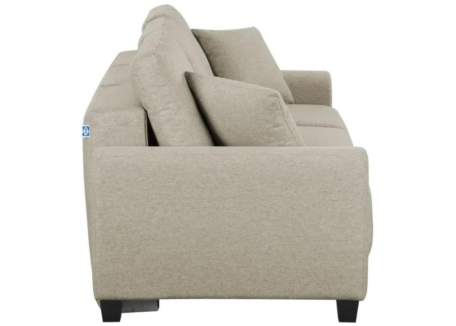 Rockwell Convertible Sofa Sleeper - Tumbleweed