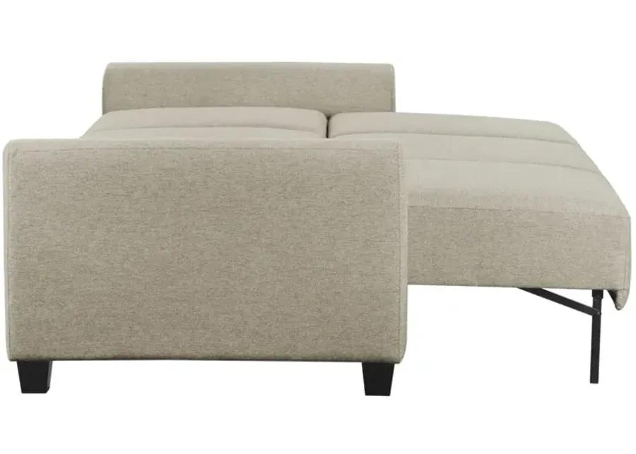 Rockwell Convertible Sofa Sleeper - Tumbleweed