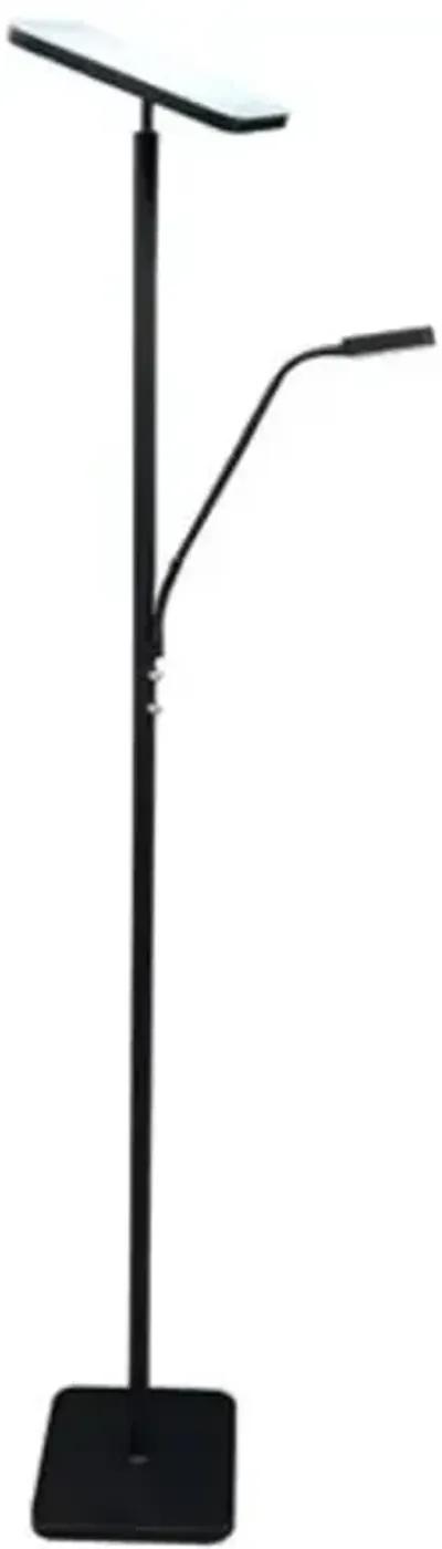 Hector LED Floor Lamp